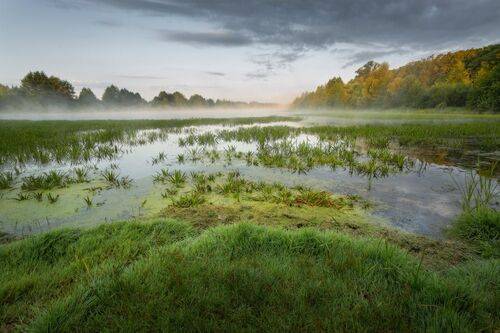 Рассвет на озере