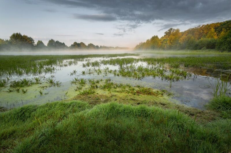 утро лето озеро берег туман солнце Рассвет на озере фото превью