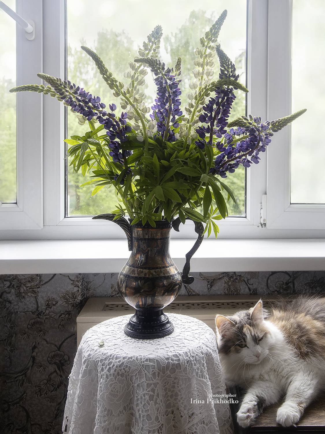 кошки, домашние животные, питомцы, интерьер, цветы, букеты, лето, Приходько Ирина