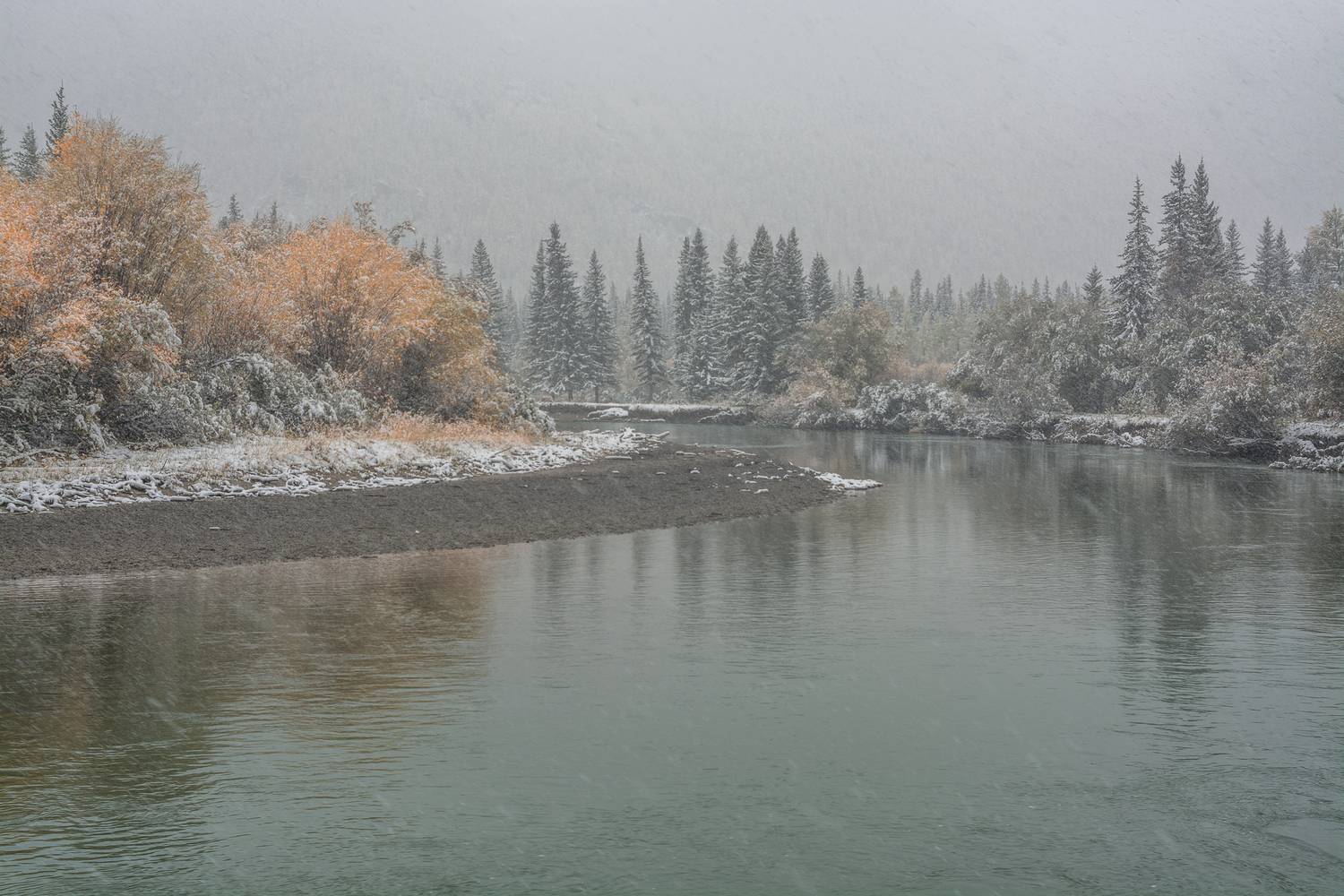 россия, горный алтай, река чуя, осень, конец сентября, снег, снегопад, Поляков Андрей