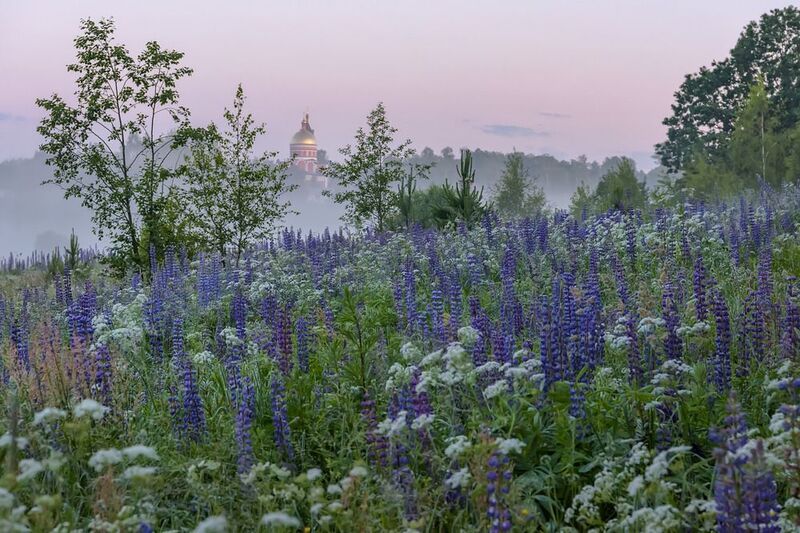 Июнь фото превью