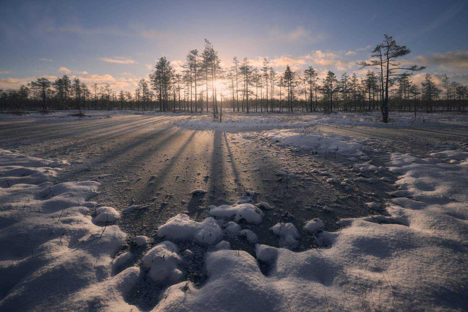nature, winter, snow, outdoors, swamp, landscape, tree, blue, ice, frost, sunlight, frozen, beauty in nature, пейзаж, болота, зима, природа, солнце, снег, рассвет, Андрей