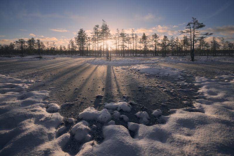 nature, winter, snow, outdoors, swamp, landscape, tree, blue, ice, frost, sunlight, frozen, beauty in nature, пейзаж, болота, зима, природа, солнце, снег, рассвет Лучи фото превью