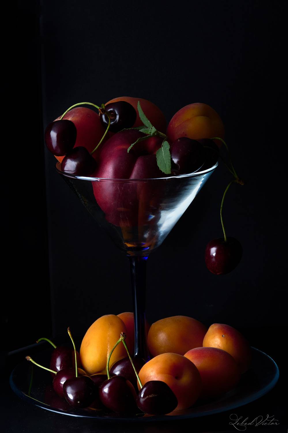 , Виктор Лебедь