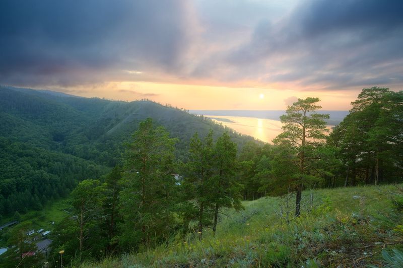 После дождя. фото превью