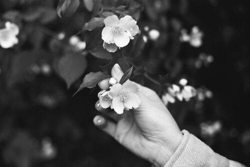 Прикосновение