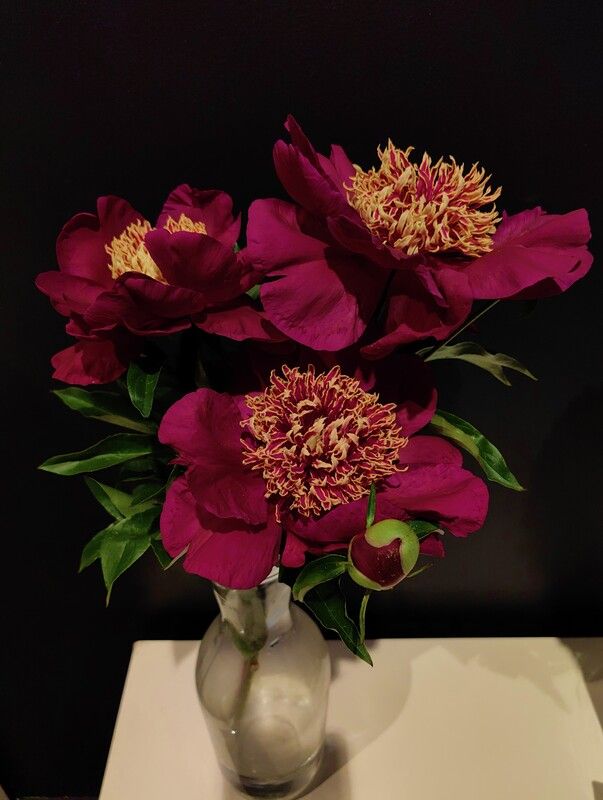 Букет пионов фото превью