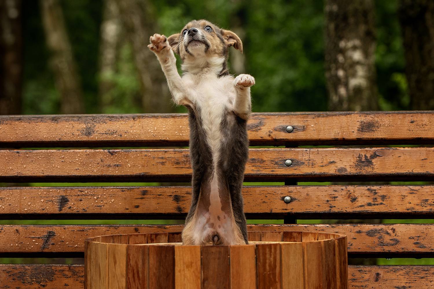 , Елена Самусенкова