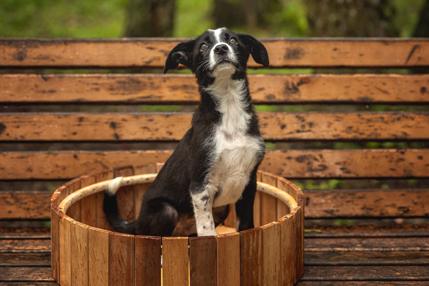 , Елена Самусенкова