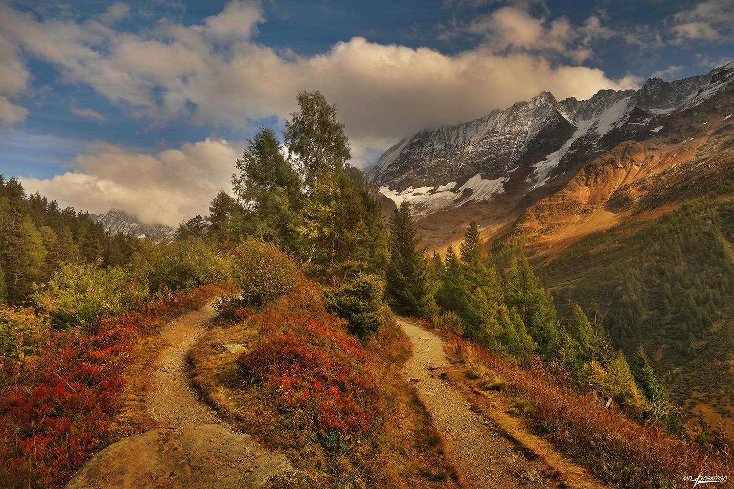 swiss, Матвеев Николай