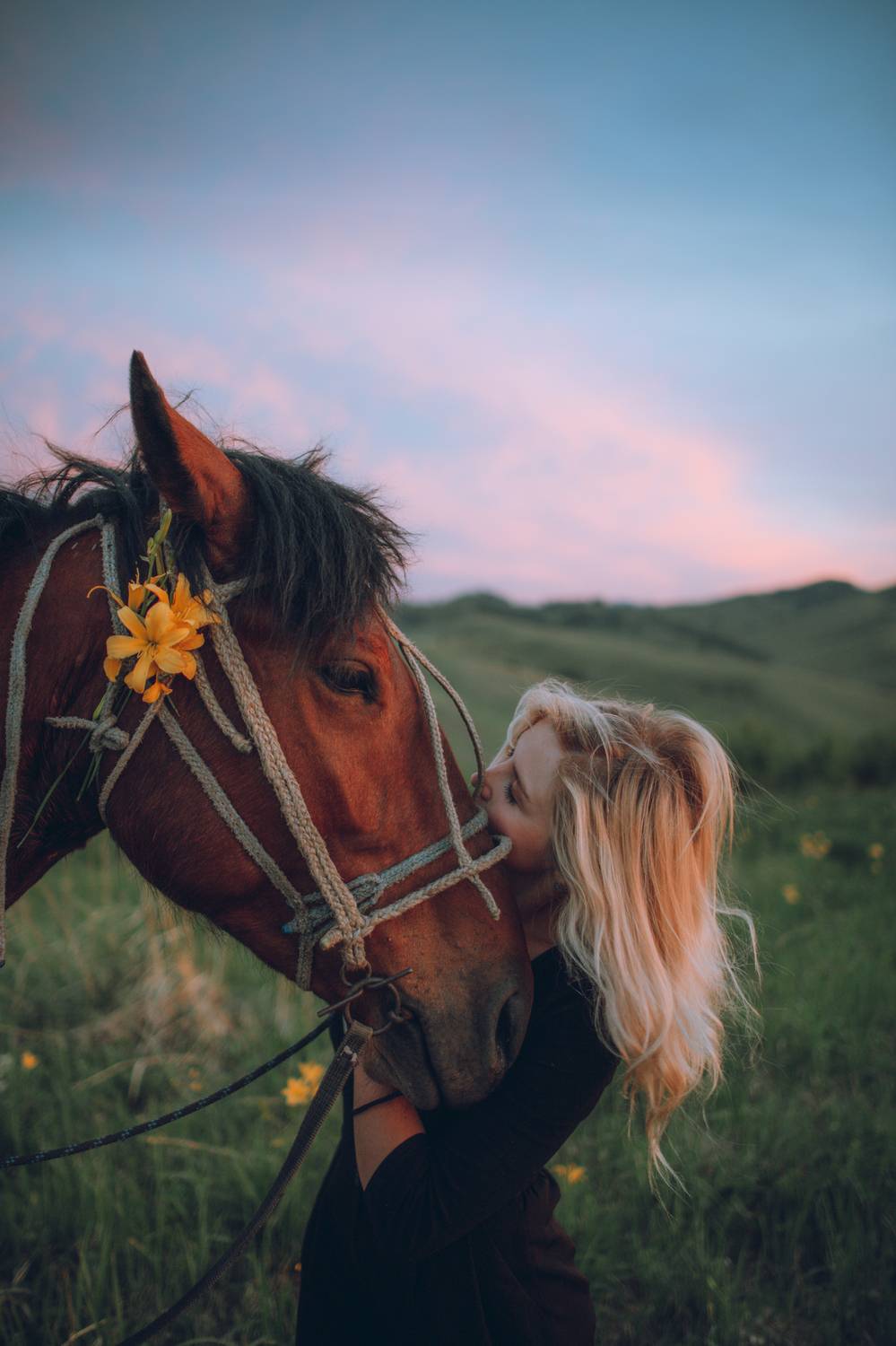 Лошадь, девушка, зелень, закат, цветок, алтай, Denis Koshkin