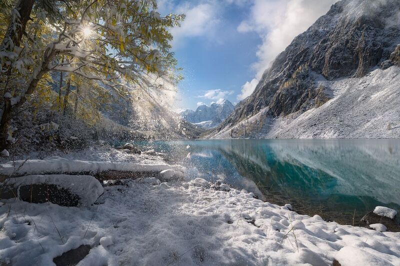 The White Fall фото превью