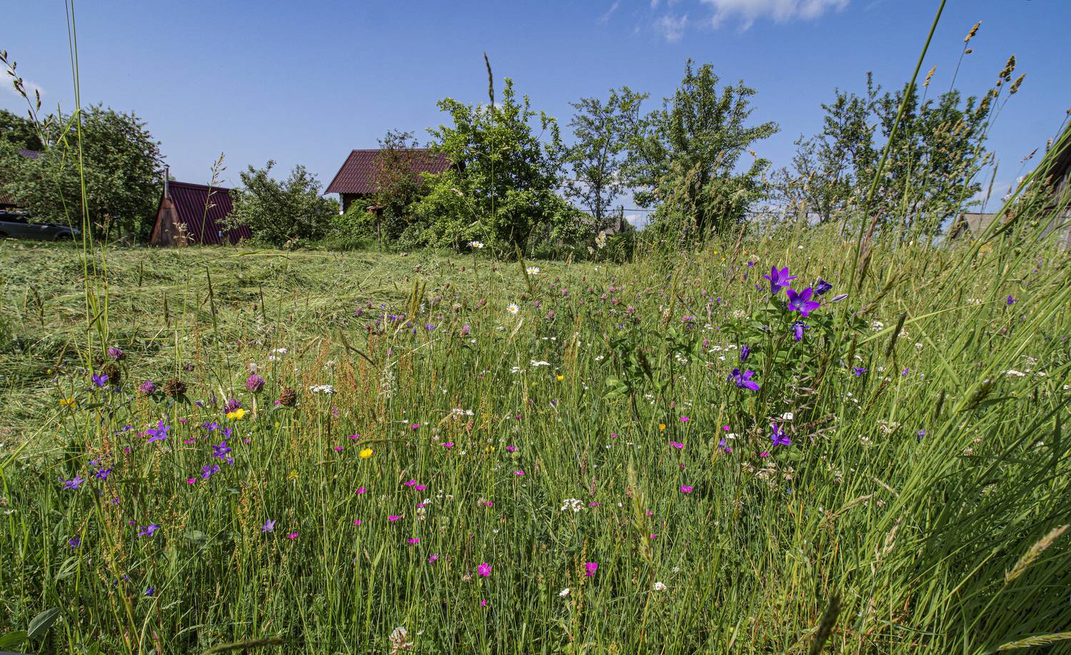 , Шитов Александр