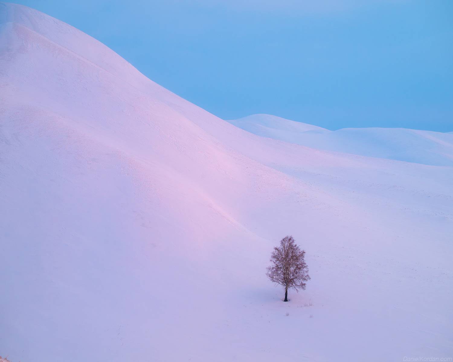 , Даниил Коржонов