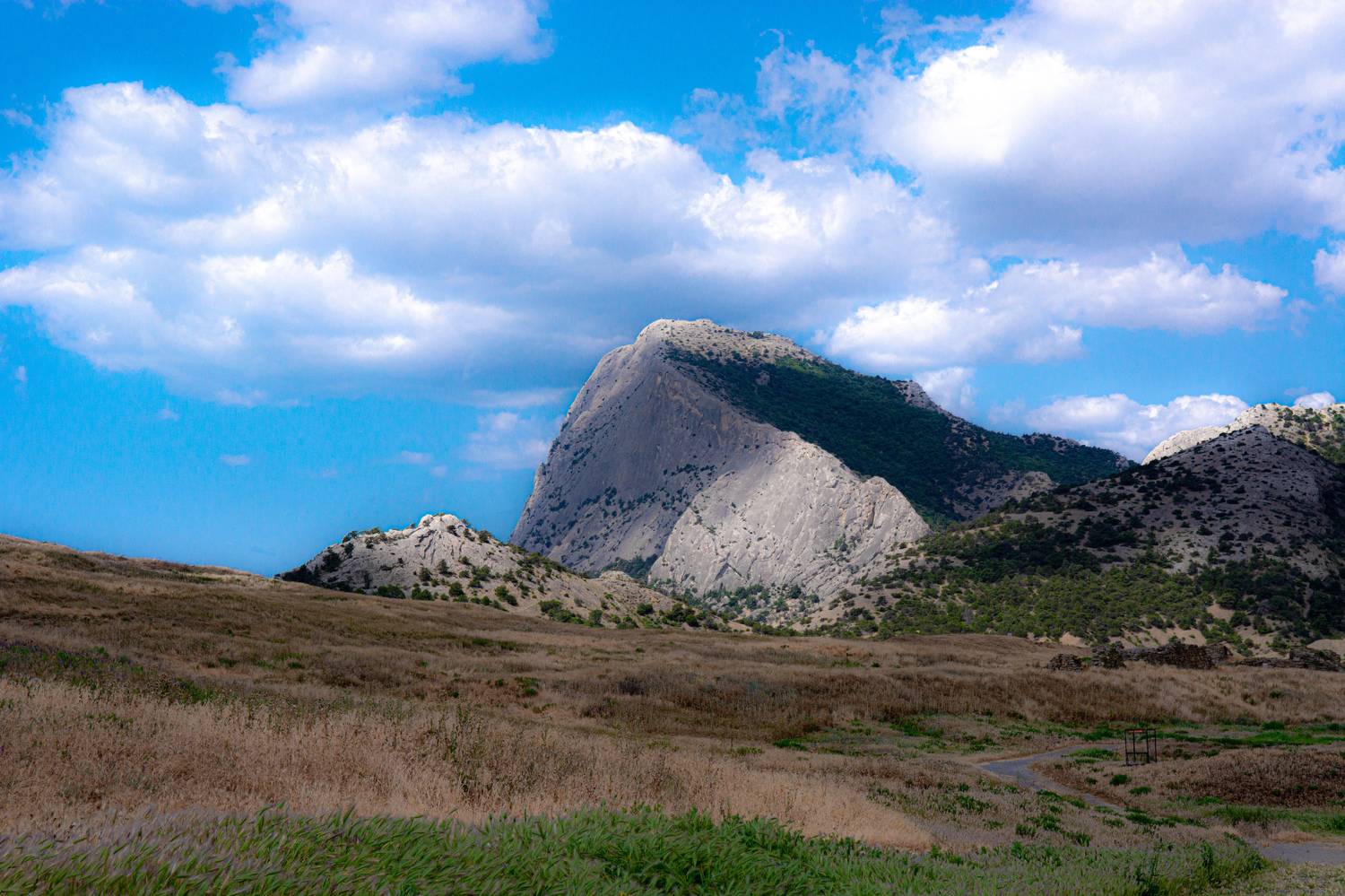 , Алексей Ильин