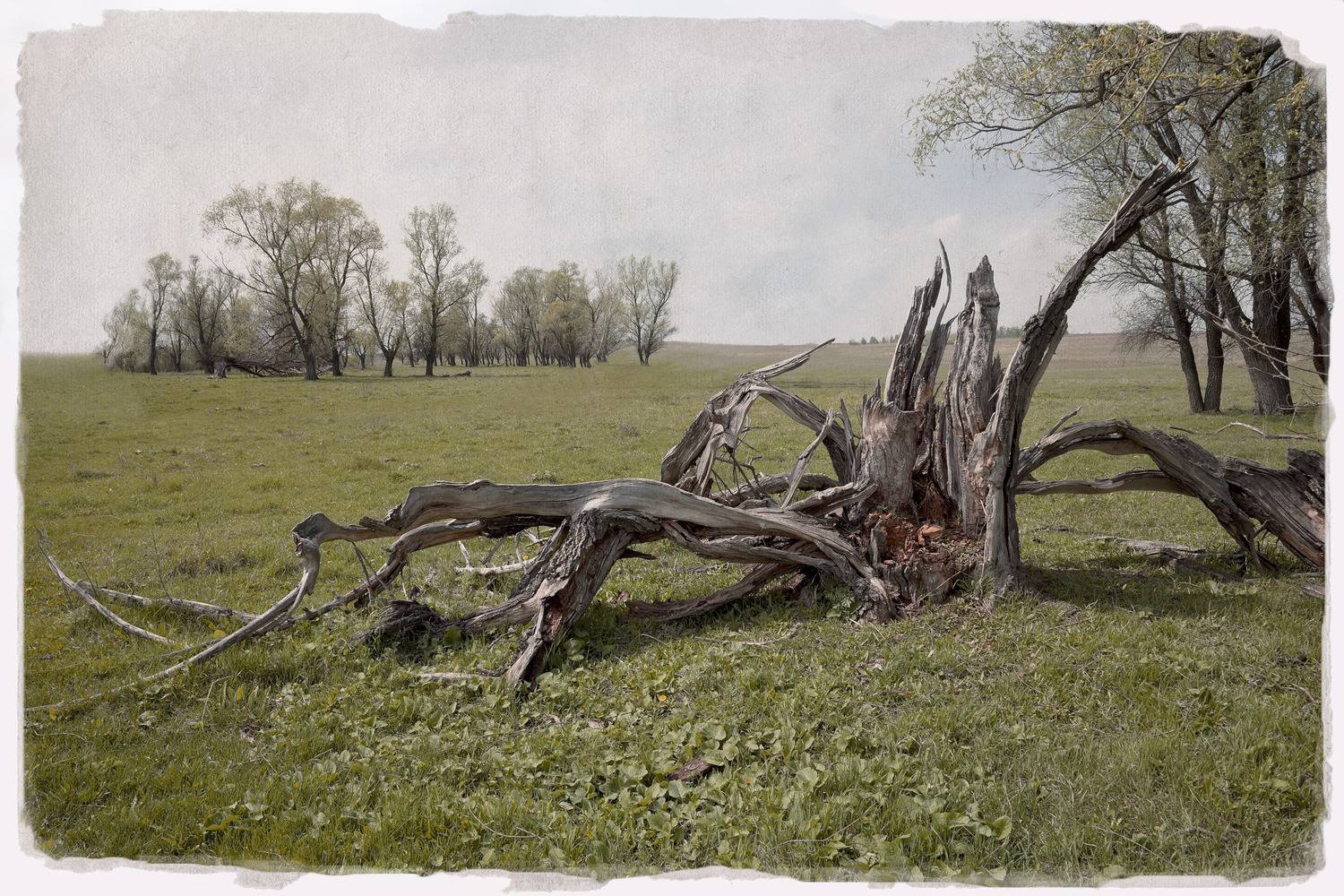 лето, Виктор Кириллов