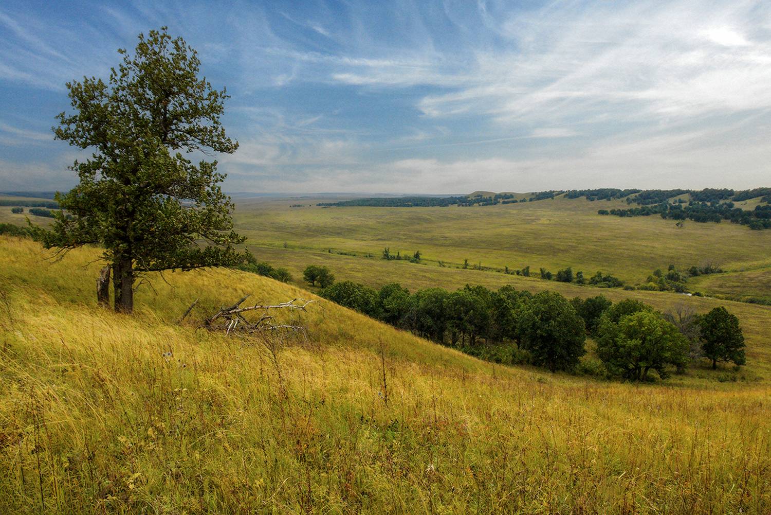 , Владислав Шерман