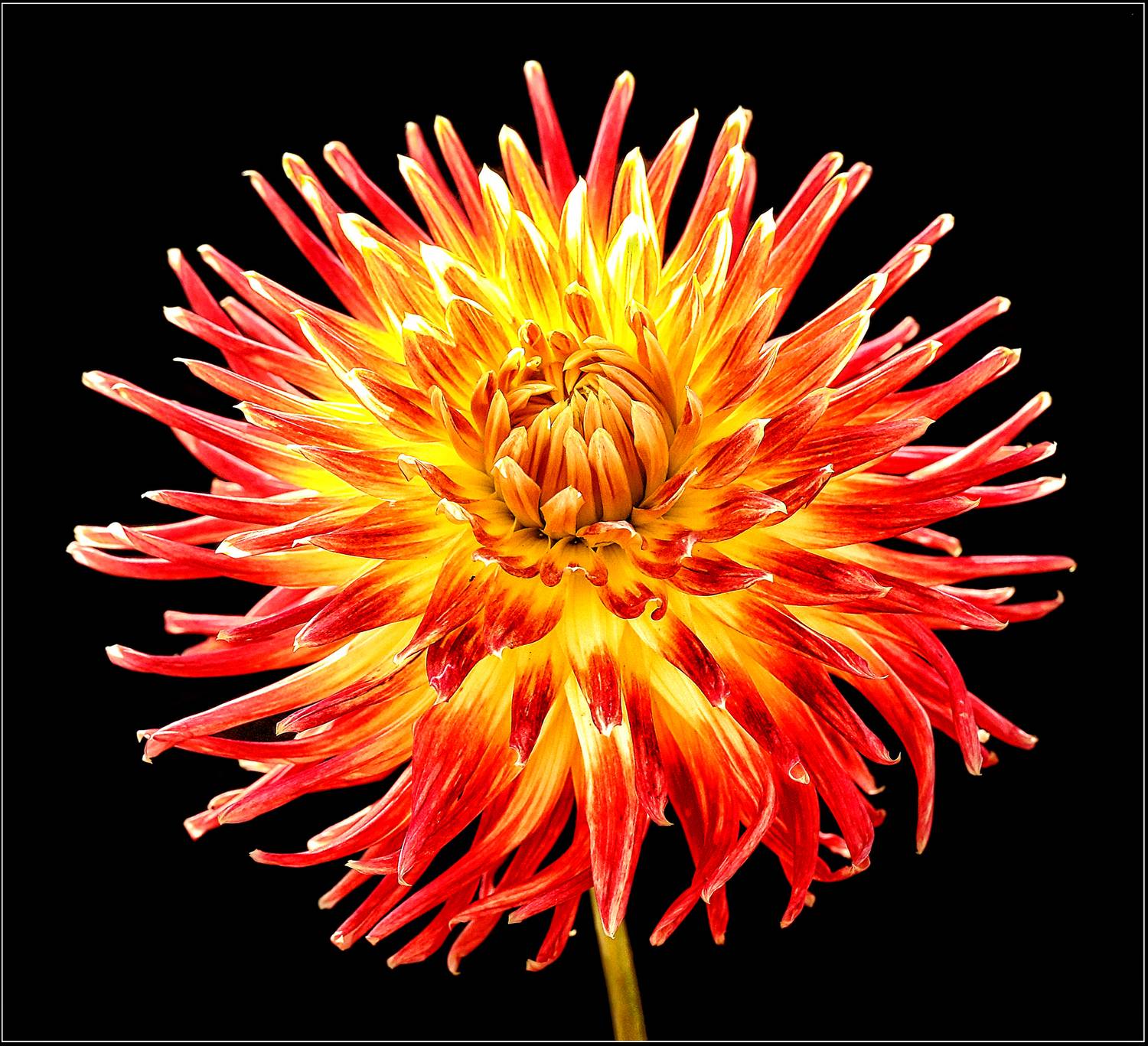 , Ушаков Валерий