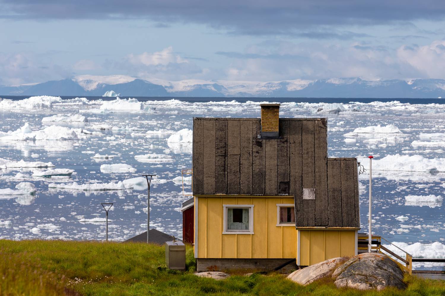 , Евгения Чех