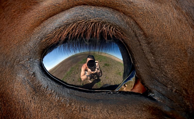 Селфи фото превью