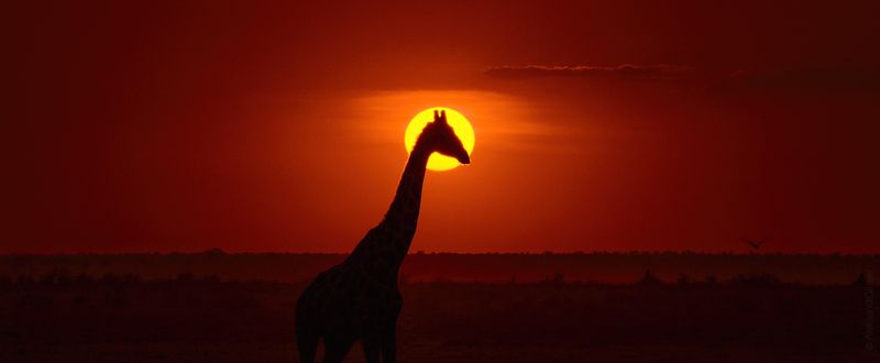 Именем вдоха фото превью