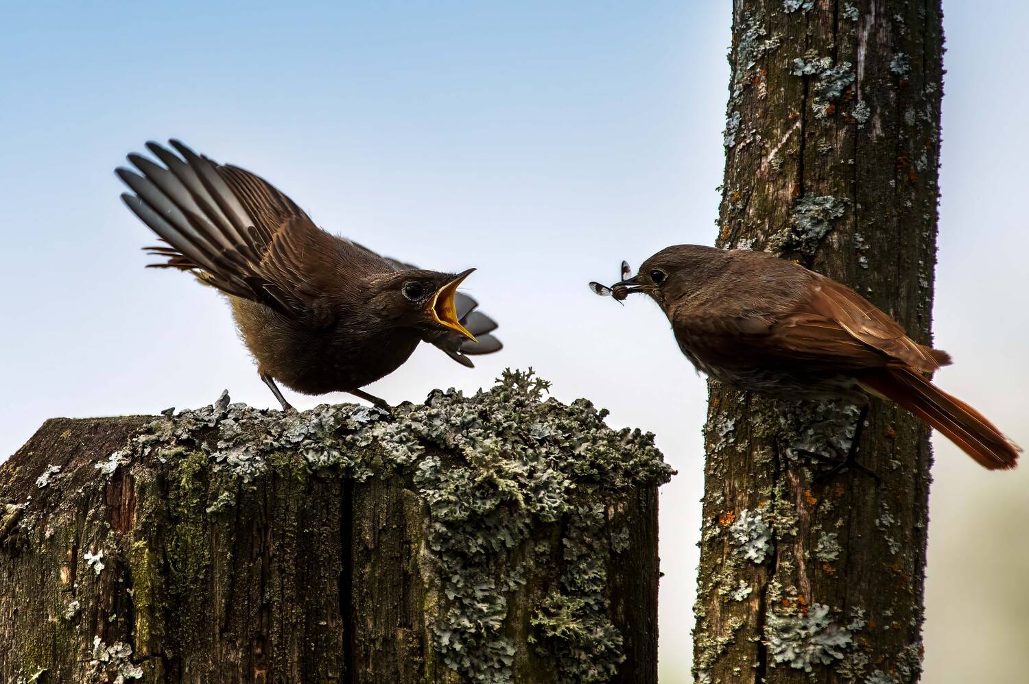 , Павел Ныриков