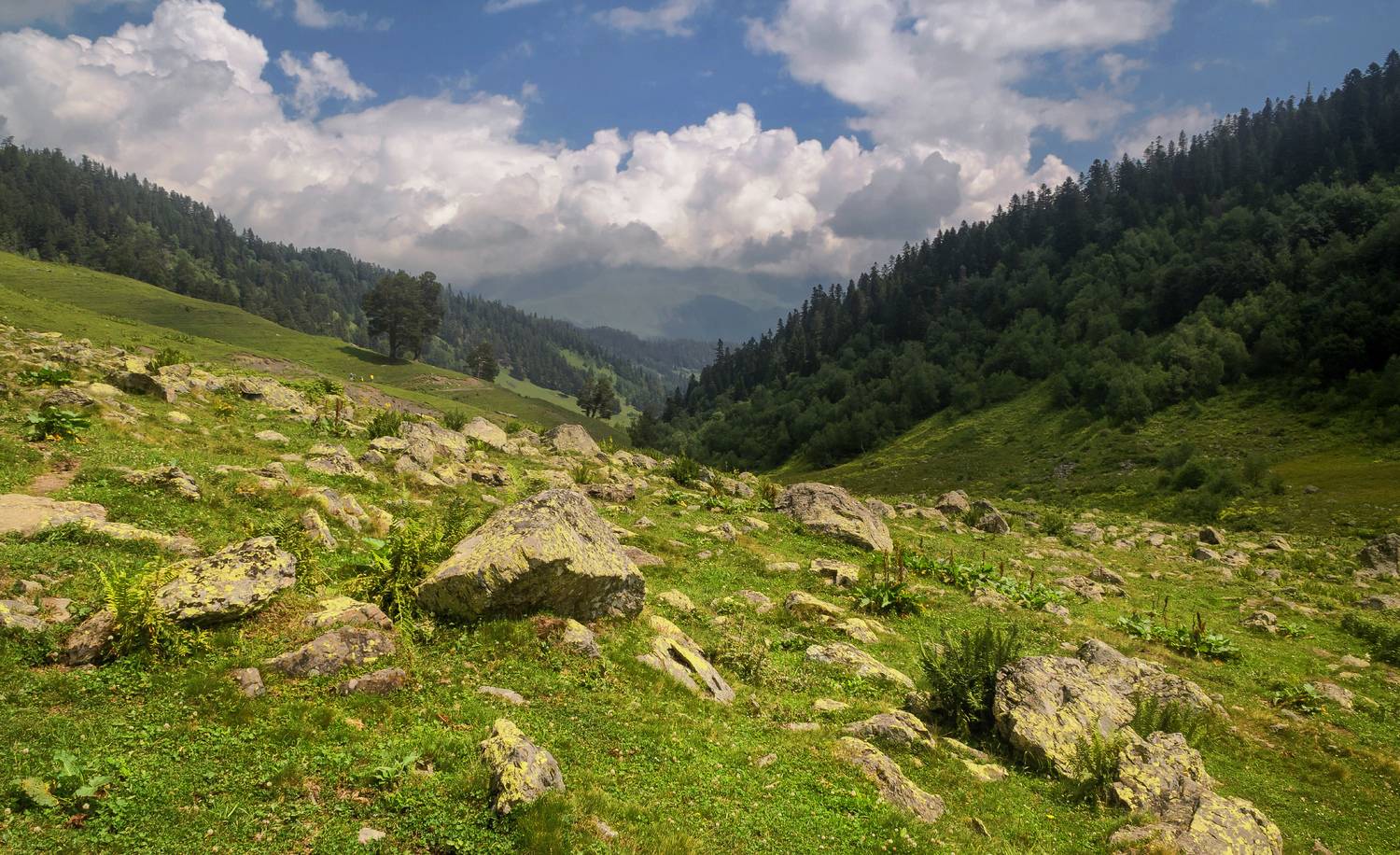 , Лысенко Сергей