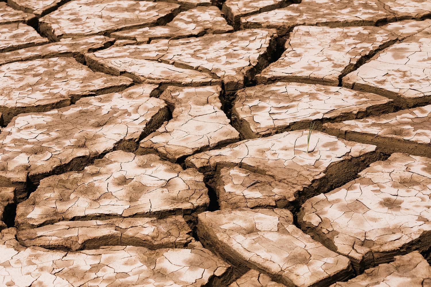 кыргызстан, токтогульское вдхр, Элина Магалимова