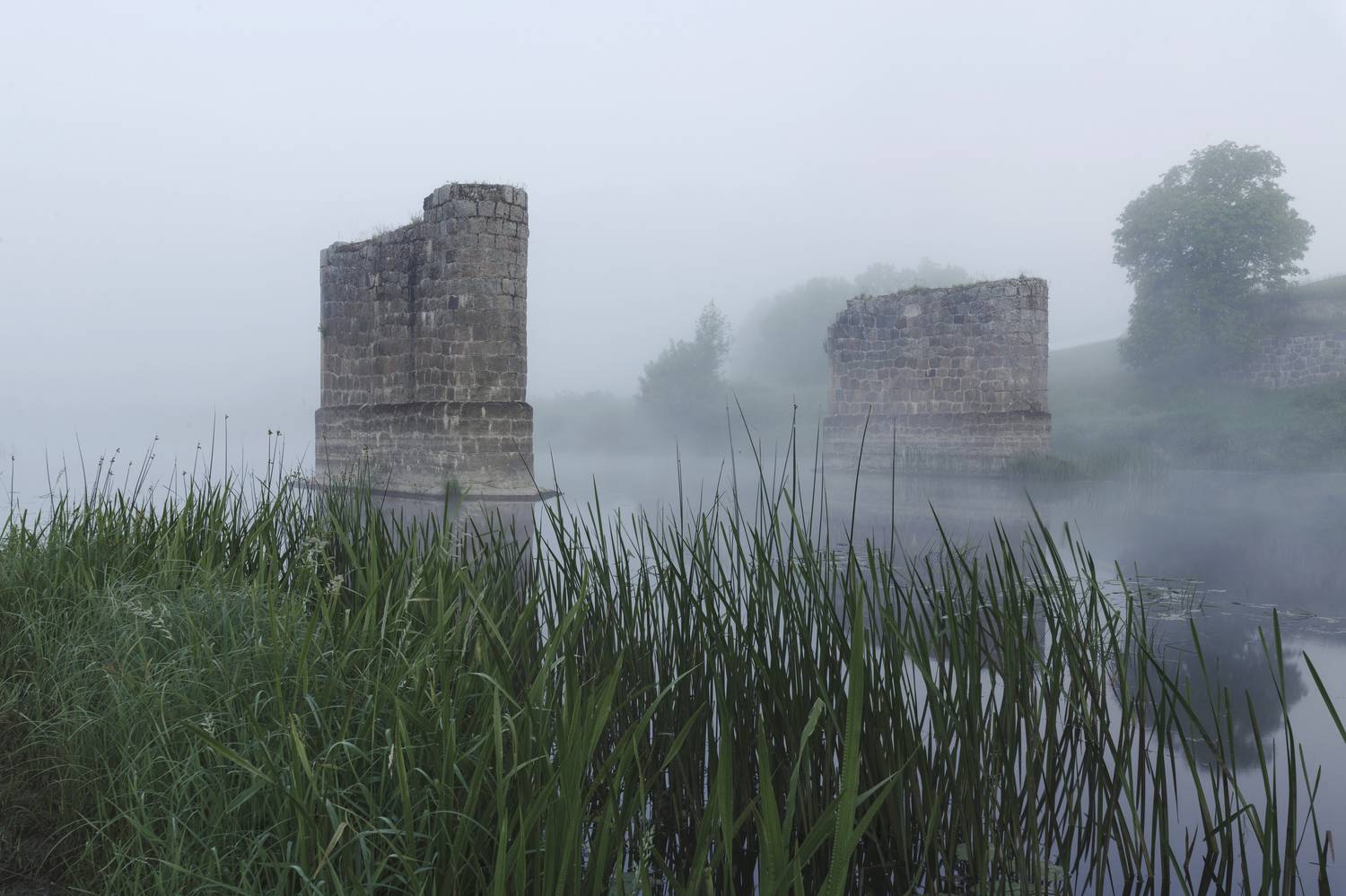 , Максим Вышарь