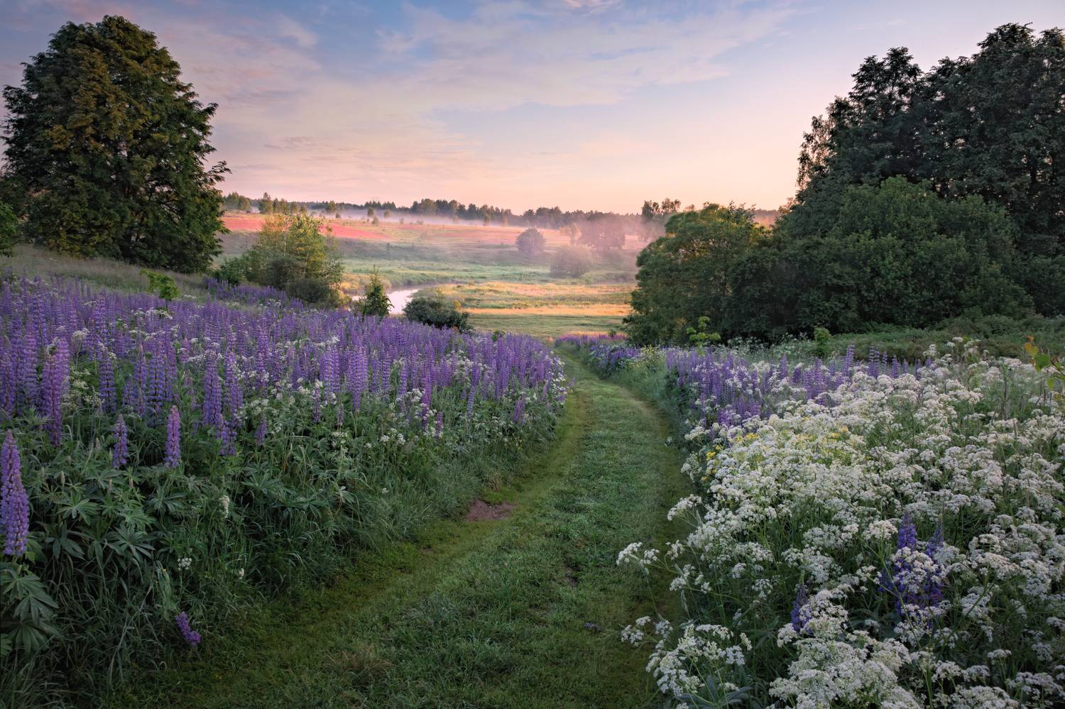 , Евгений Ерохин