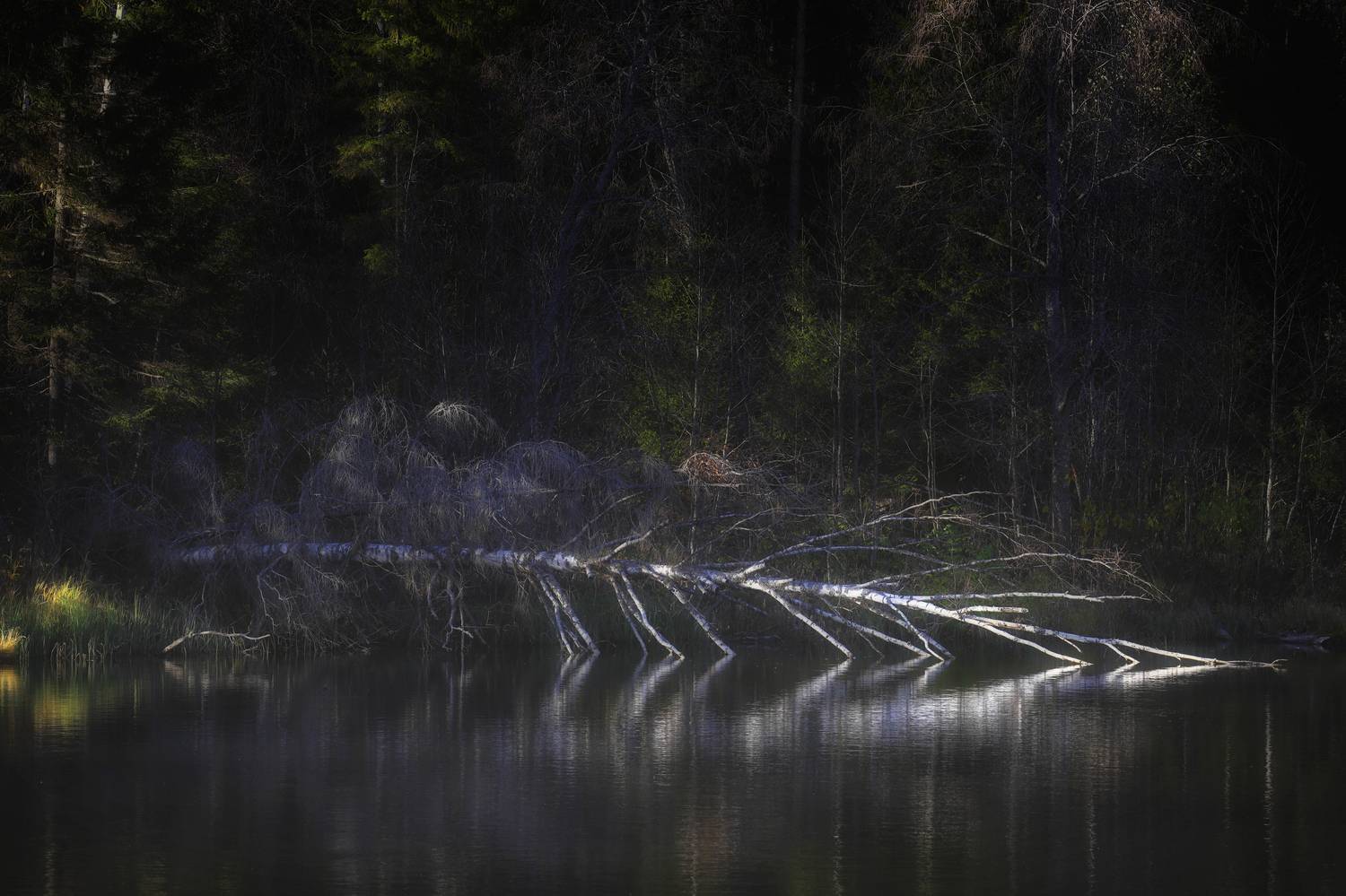 , Павел Мартюшев