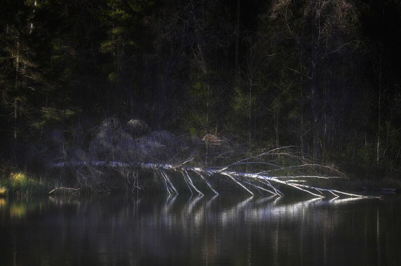 Тайное место фото превью
