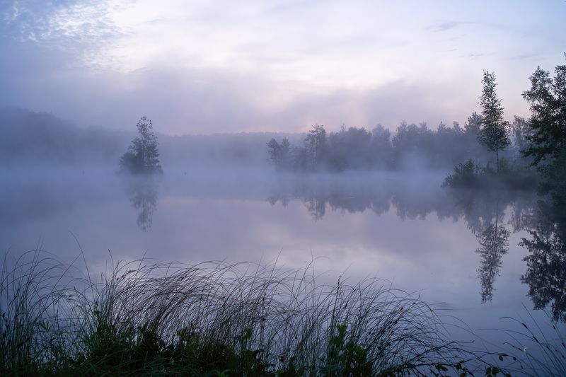 Прогулка по болоту фото превью