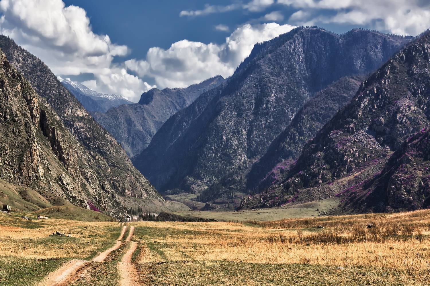 , Юдинских Марина