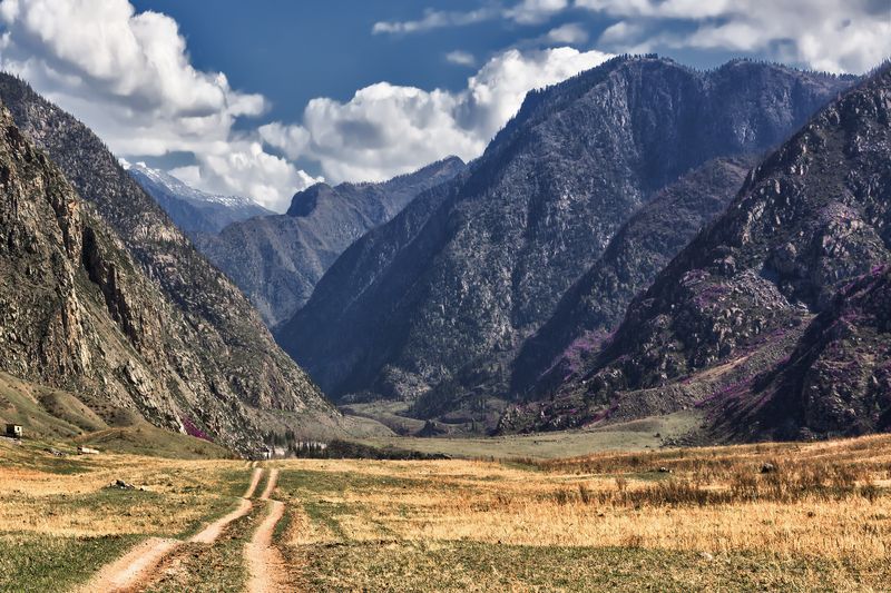 В горах Алтая . фото превью