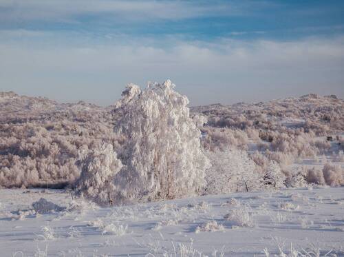 Алтайский край