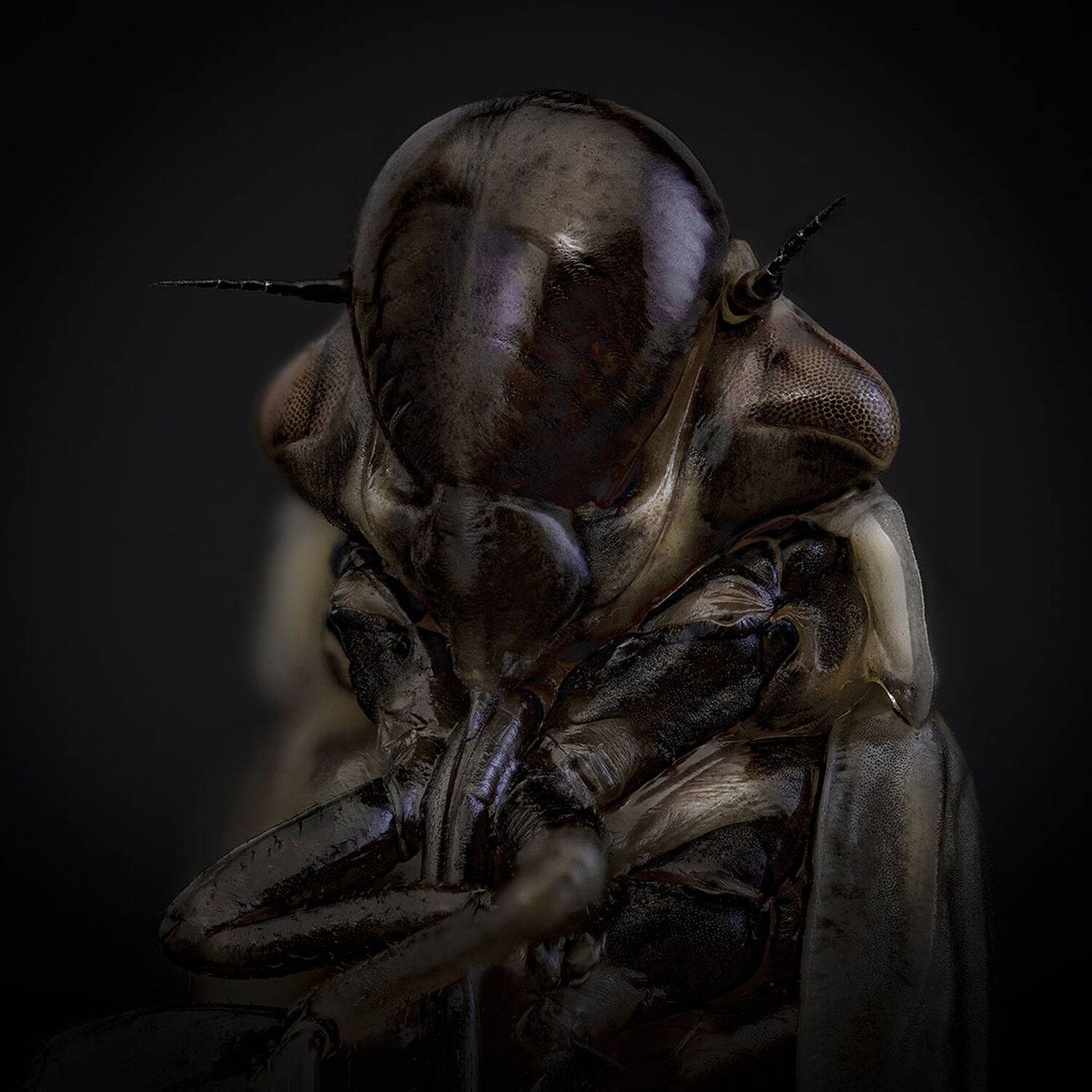 , Kavaliauskas Eugenijus