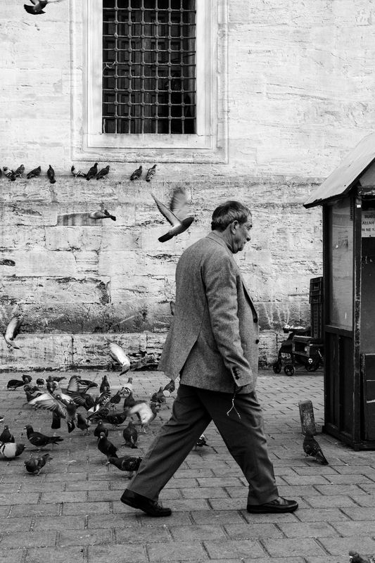 Стамбул, февраль 2024 г. фото превью