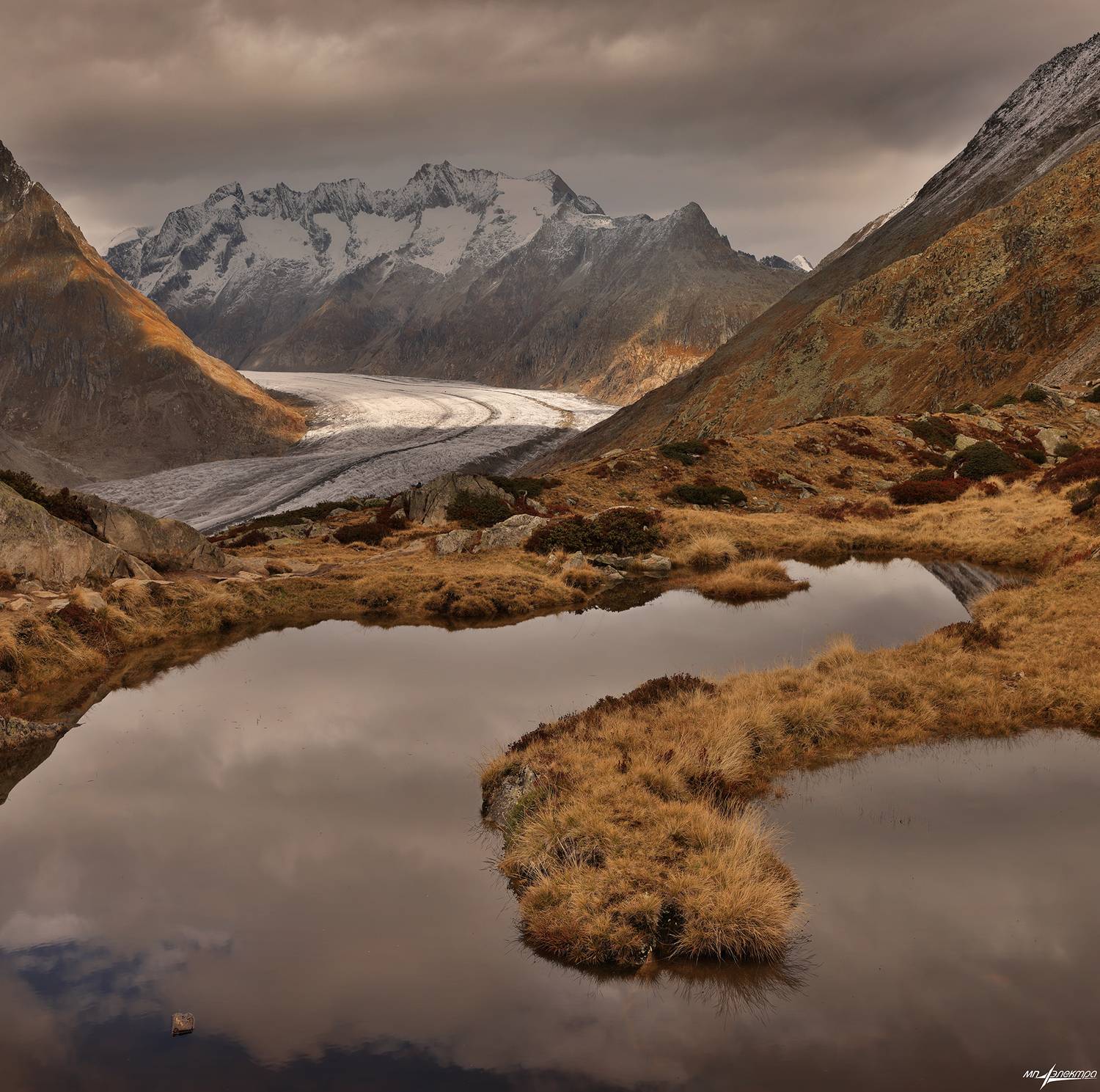 swiss, Матвеев Николай