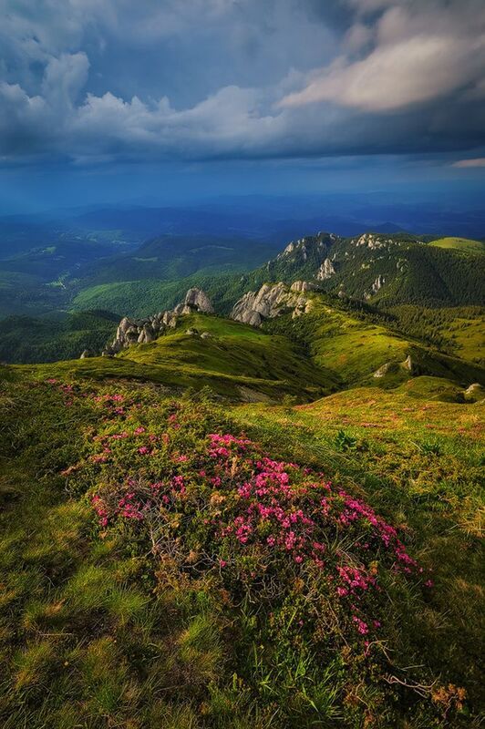 2025 фото превью