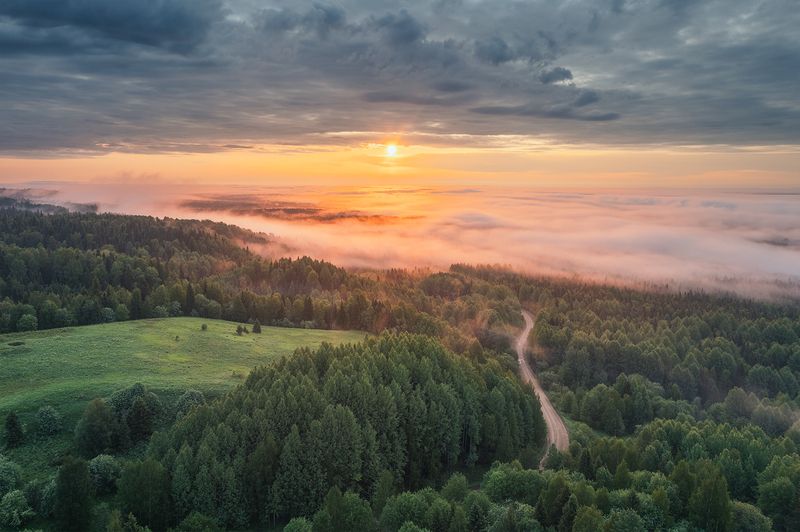 Рассвет над спящим лесом фото превью