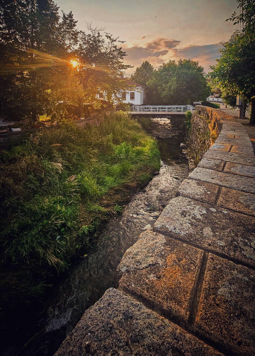 , Веселина Бобчева