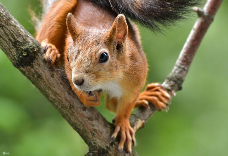 Фотограф, я слежу за тобой) фото превью