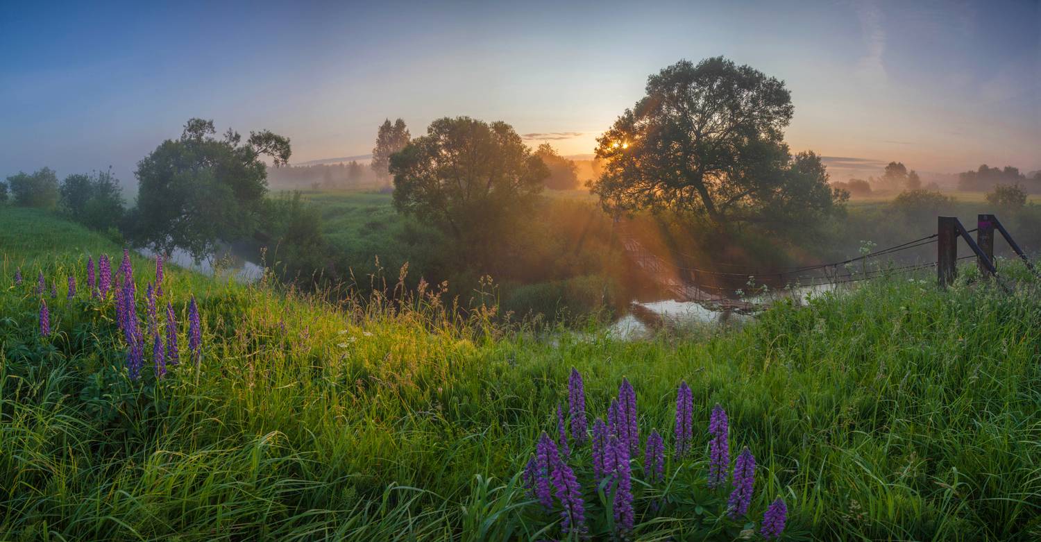 рассвет, лето , река , мостик, Свистков Александр