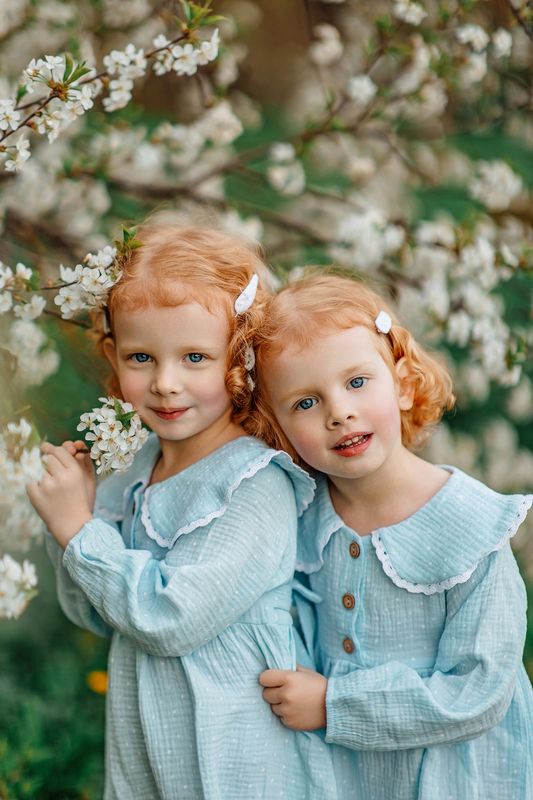 Рыжульки фото превью