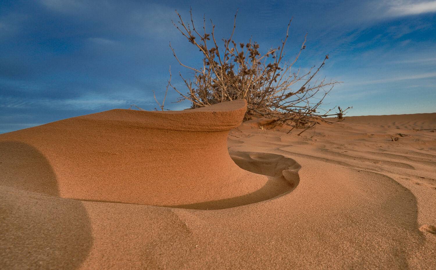 , Андрей Ростовцев