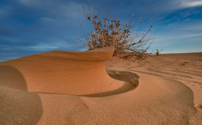 На бархане фото превью