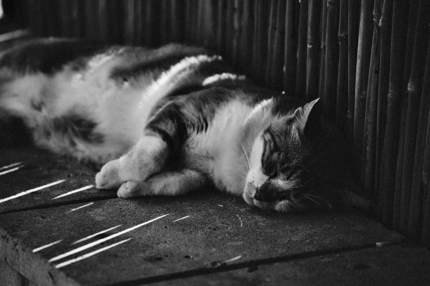 , Щеглова Марина