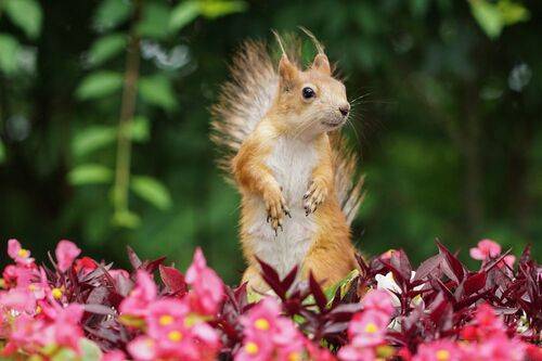 Я оглянулась посмотреть не оглянулся ли он...