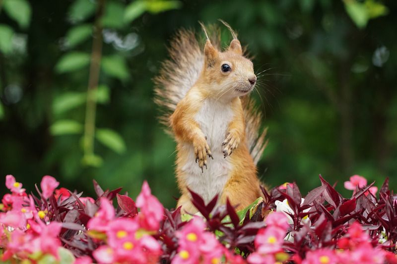 Я оглянулась посмотреть не оглянулся ли он... фото превью